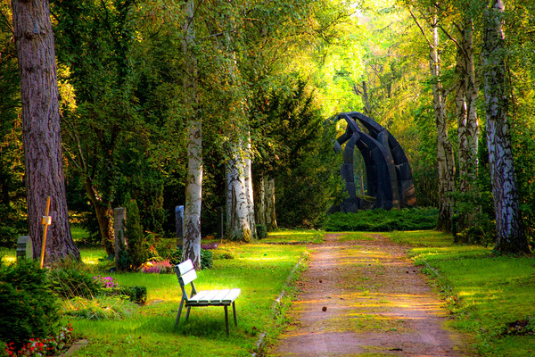 Cemetery in the Forest